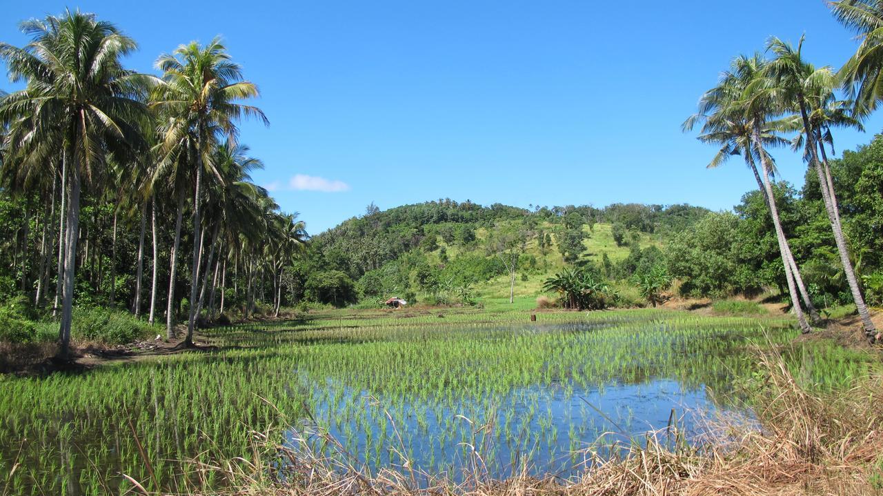 Tampat Do Aman * Kudat